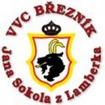 vvcbreznik_logo